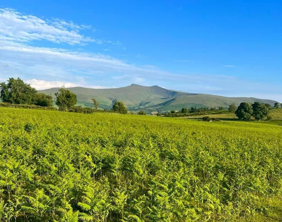 Little Cottage Of The Beacons Brecon Buitenkant foto