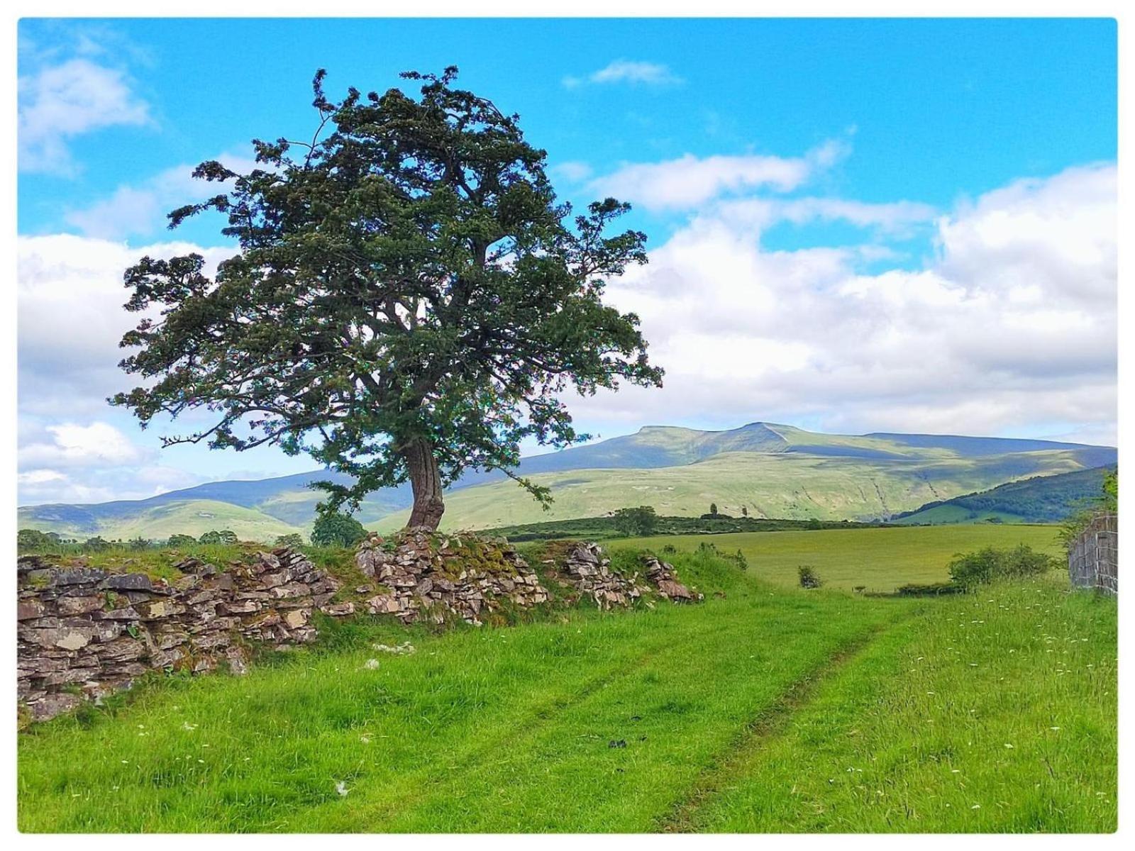 Little Cottage Of The Beacons Brecon Buitenkant foto